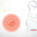 1-week-pregnant