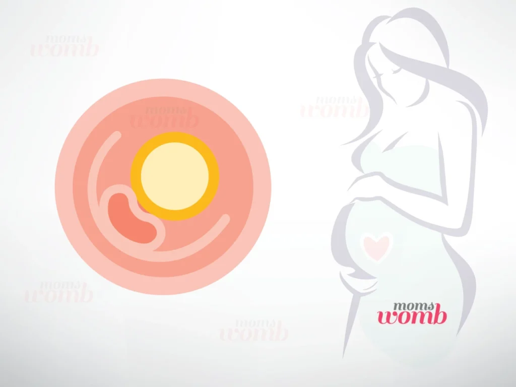 3-Weeks-Pregnant-Signs