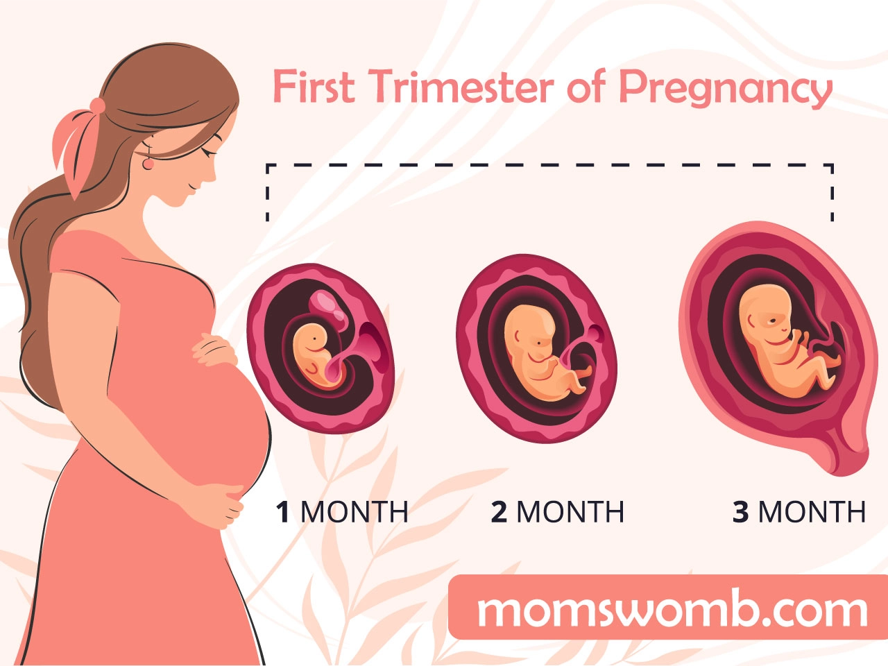 fetal development month by month
