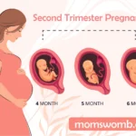 Causes of Second Trimester Contractions