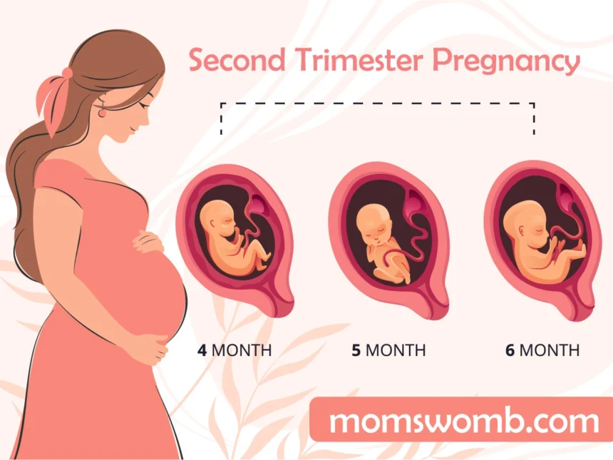 Causes of Second Trimester Contractions